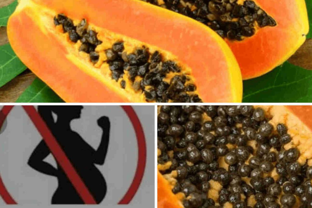 Voici comment utiliser les graines de papaye comme contraceptif naturel sans utiliser les pilules qui sont dangereuses pour la santé