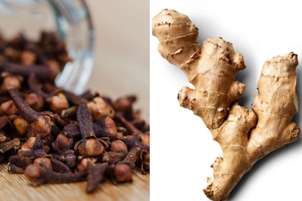 Infusion clou de girofle et gingembre : la meilleure boisson pour brûler les graisses du ventre la nuit