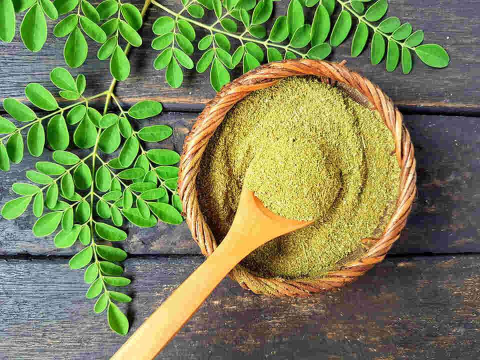 3 recettes à base de Moringa pour se soigner et profiter des bienfaits de ce super aliment