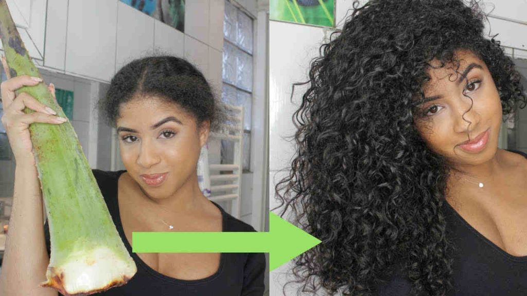 Voici comment utiliser l&rsquo;Aloe Vera sur les cheveux crépus
