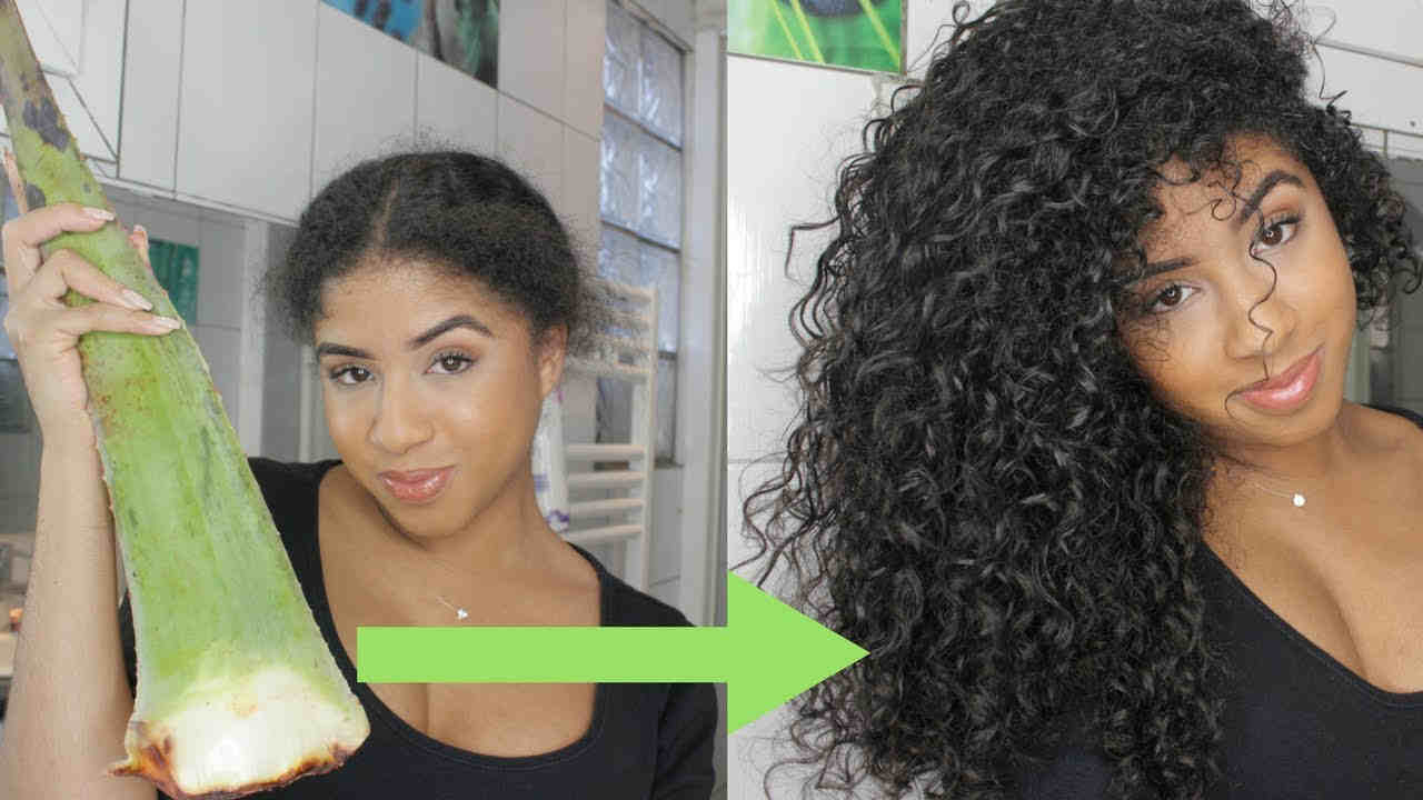 Voici comment utiliser l&rsquo;Aloe Vera sur les cheveux crépus