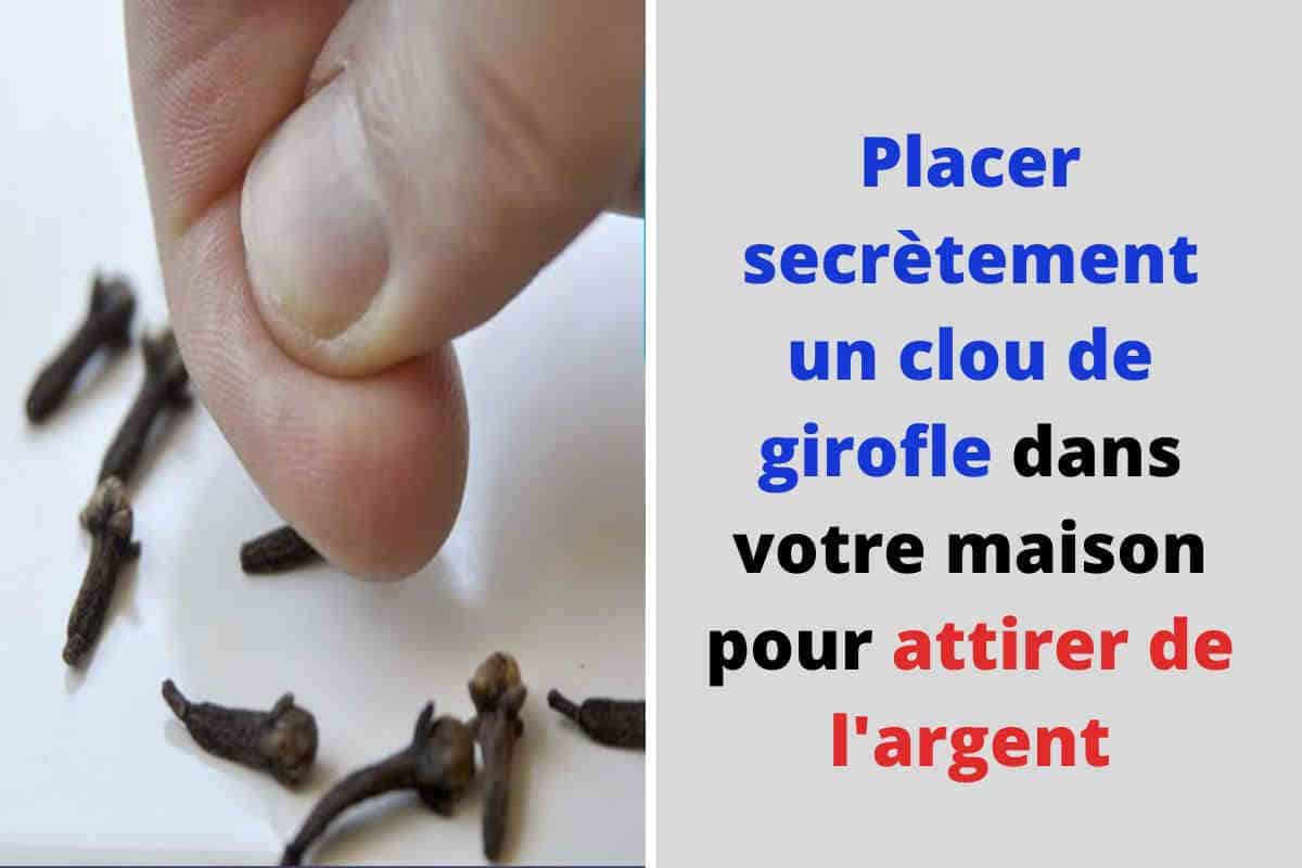Voici comment placer secrètement un clou de girofle dans votre maison pour attirer de l’argent