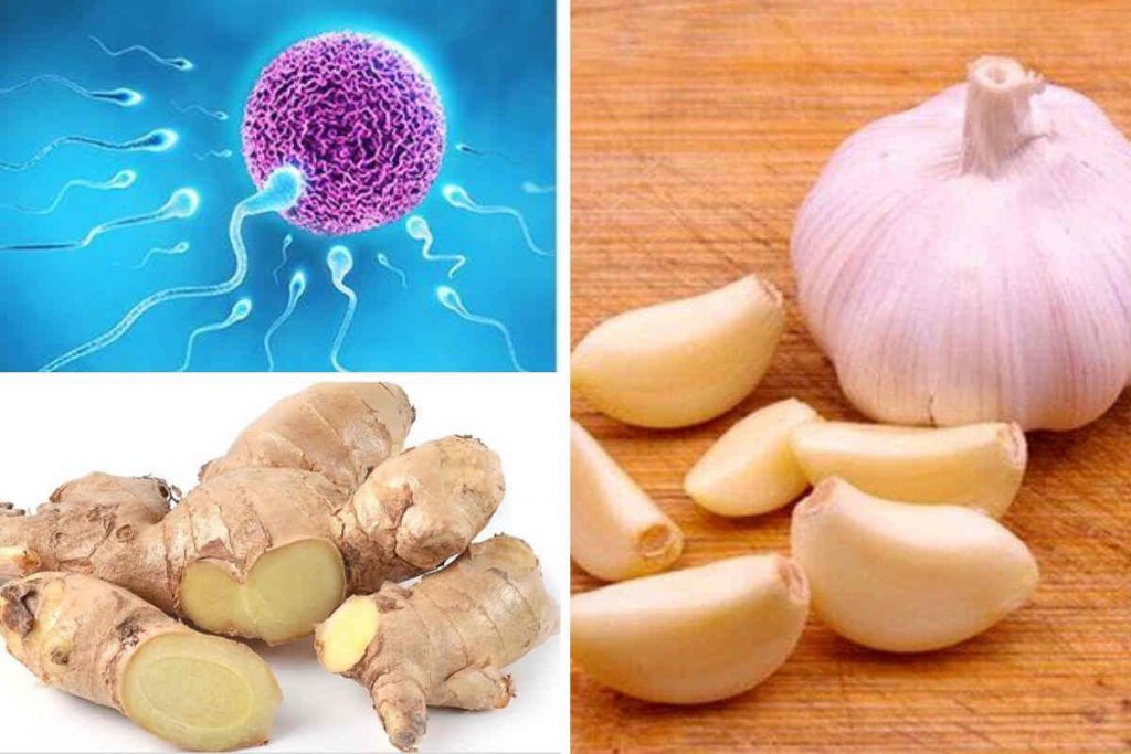 Voici le meilleur remède naturel pour augmenter le nombre de spermatozoïdes