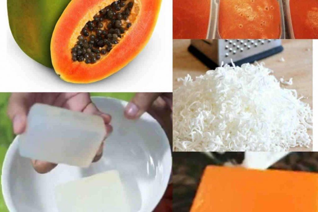 Voici comment fabriquer du savon éclaircissant à la carotte et à la papaye
