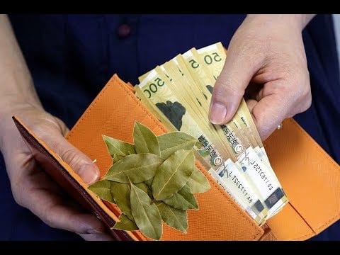 5 façons d’utiliser les feuilles de laurier pour attirer l’argent et la prospérité
