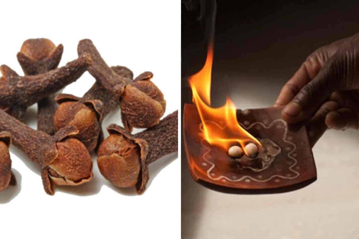 Brûlez des clous de girofle pour attirer l’amour, l’argent et chasser les énergies négatives dans votre maison