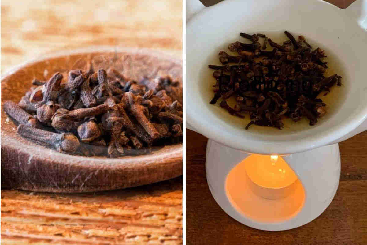 20 utilisations santés et spirituelles du clou de girofle à absolument tester