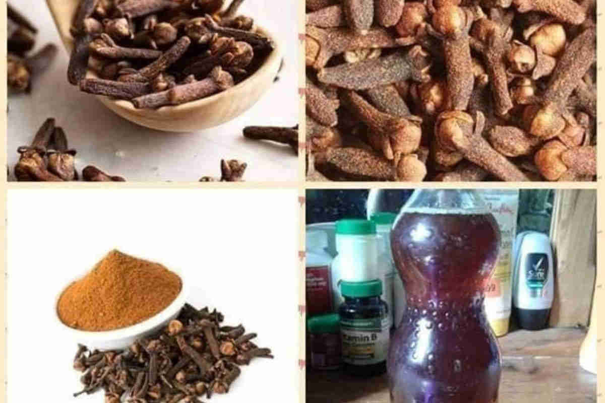 Voici une recette à base de clou de girofle pour celles qui ont marre du célibat et qui veulent attirer les hommes