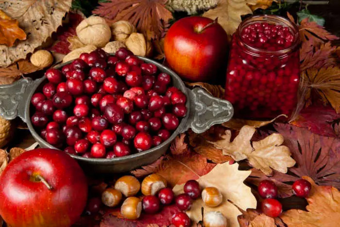 7 aliments qui aident à stimuler le système immunitaire contre les maladies pendant la saison d’automne