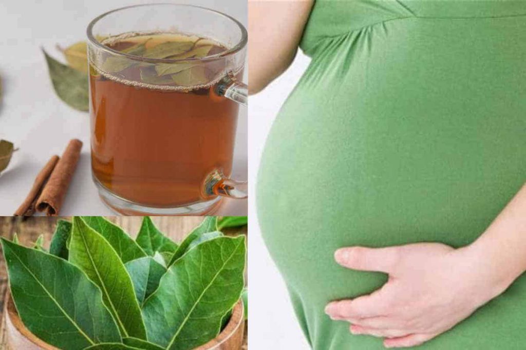 Utilisation des feuilles de laurier pendant la grossesse : avantages et inconvénients