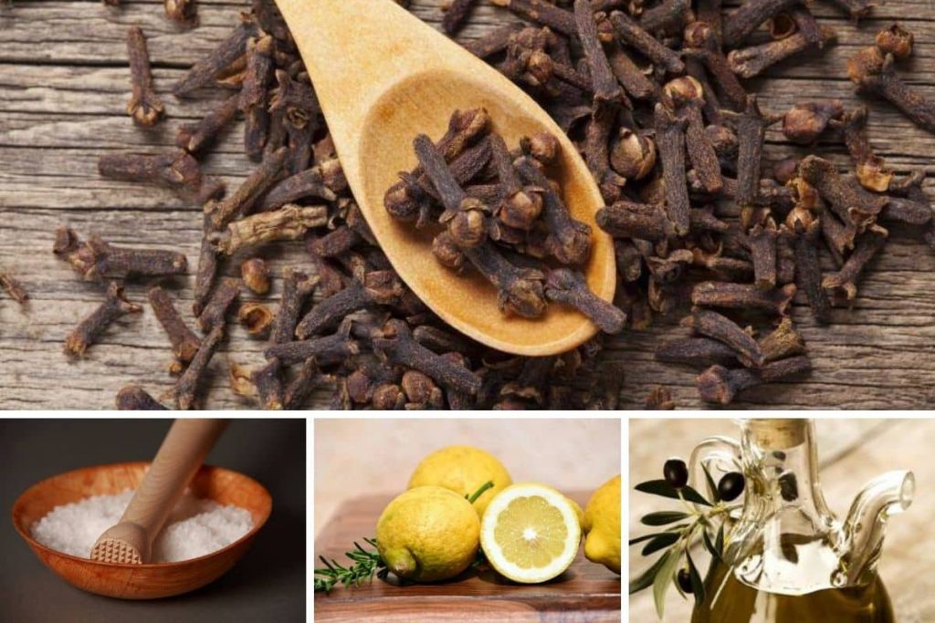 Voici la recette du bain de purification au clou de girofle pour nettoyer son aura et attirer les énergies positives