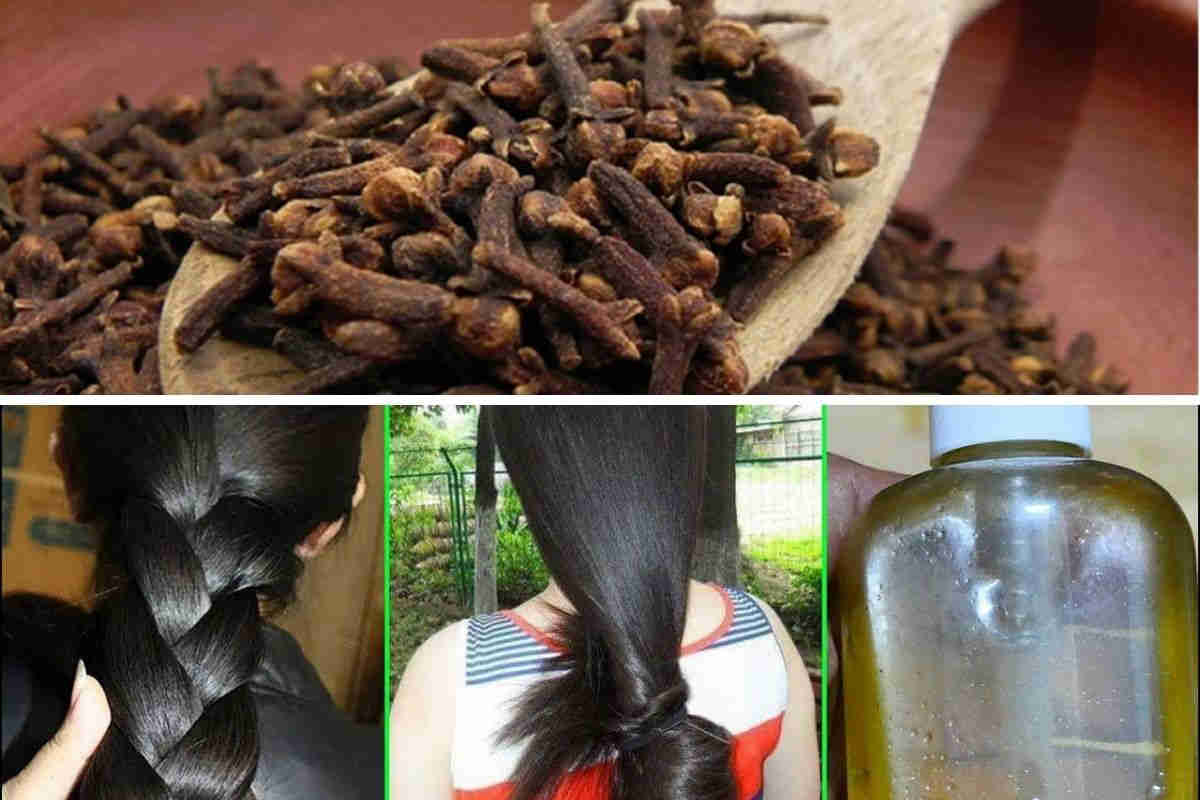 Le clou de girofle est excellent pour améliorer la santé des cheveux : lutte contre la chute et l&rsquo;apparition de cheveux blancs