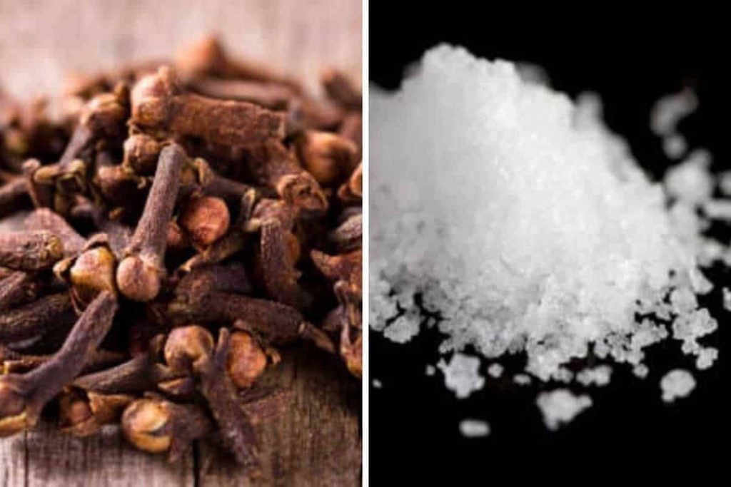 Voici la recette d&rsquo;un excellent rituel de protection à base de clou de girofle