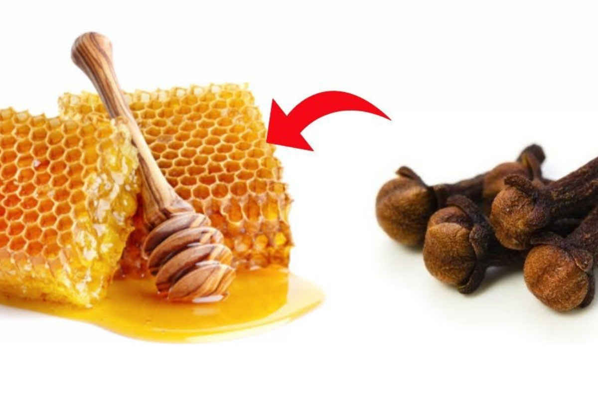 Le clou de girofle et le miel : Un puissant mélange qui soigne plus de 6 maladies