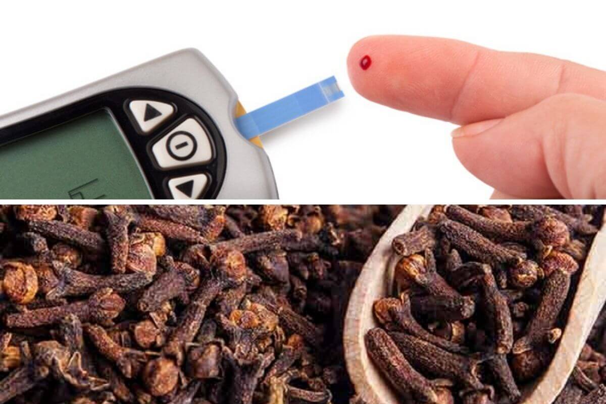 Le clou de girofle est un excellent remède naturel contre le diabète