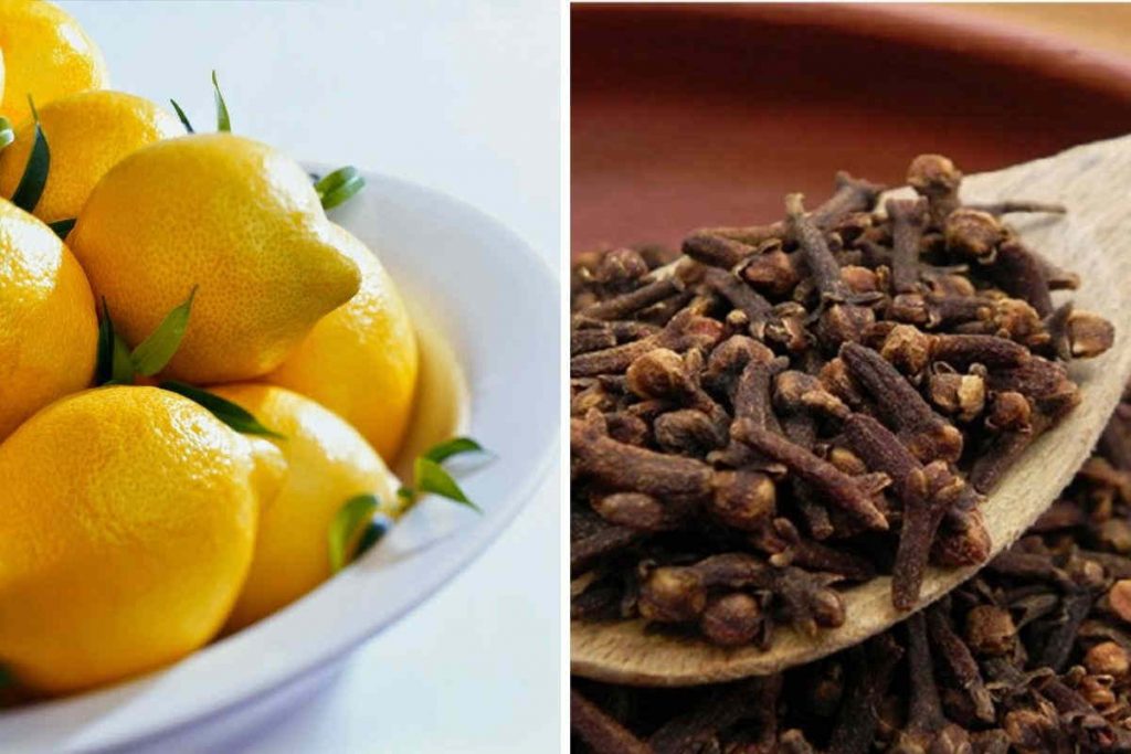 Voici pourquoi vous devez boire une infusion de clou de girofle et citron chaque jour