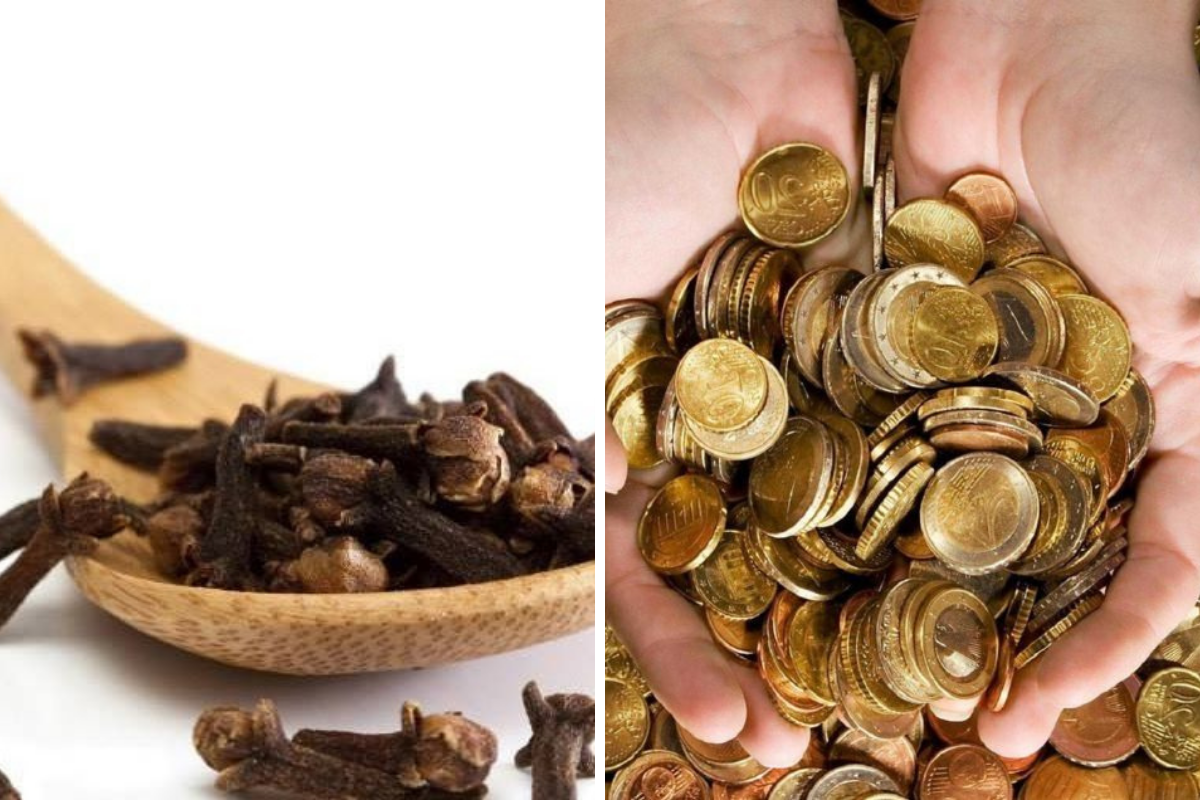 Clou de girofle : 5 secrets pour attirer l’argent et la prospérité