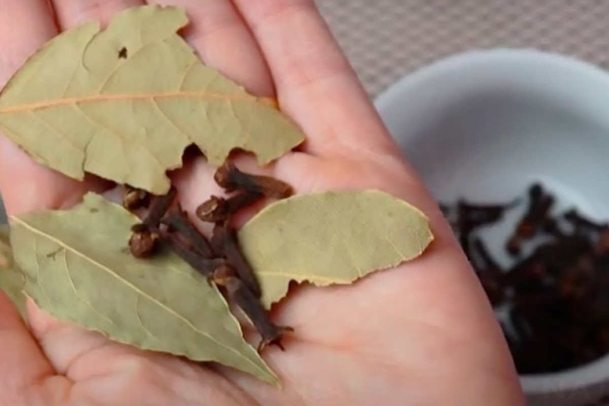 Ce thé aux clous de girofle et feuilles de laurier combat les douleurs dorsales et articulaires en seulement 1 jour