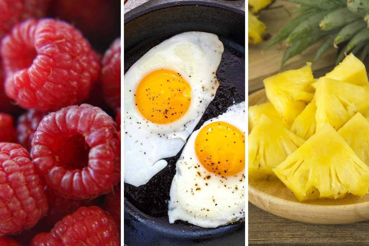 Les 12 aliments brule graisse efficaces pour maigrir