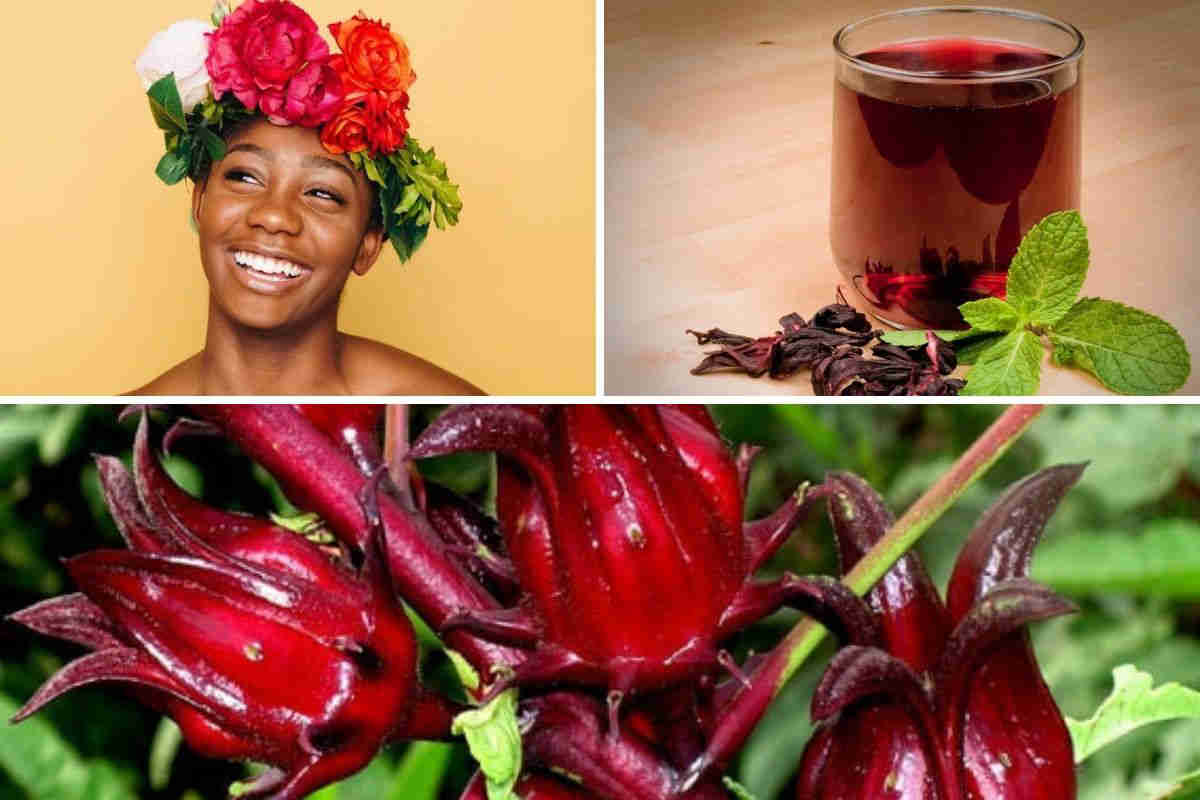10 bienfaits du bissap pour la santé de la femme