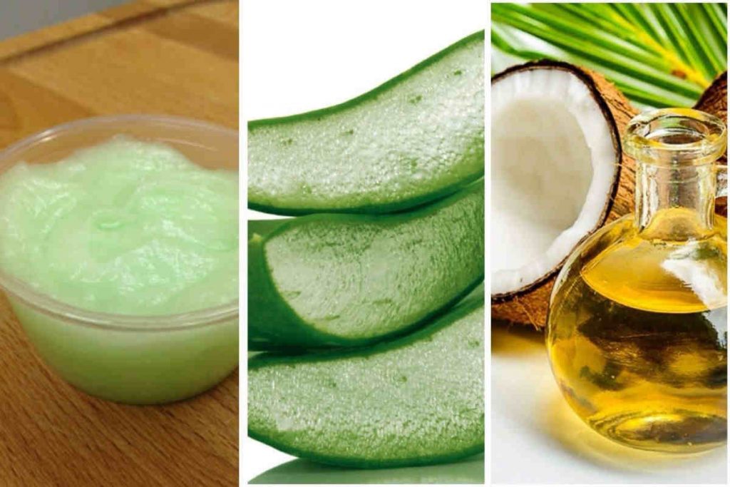 3 masques avec l&rsquo;aloe vera et l&rsquo;huile de coco pour avoir une peau belle, hydratée et sans imperfections