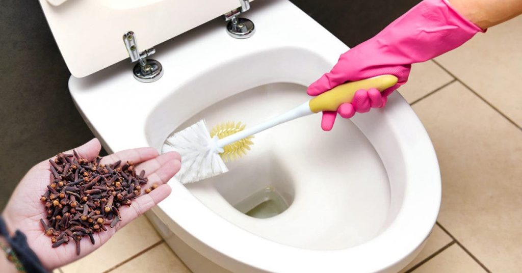 Voici comment utiliser les clous de girofle pour éliminer l’odeur d’urine dans vos toilettes