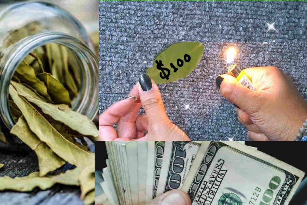 5 vertus spirituelles des feuilles de laurier que vous devez absolument connaître
