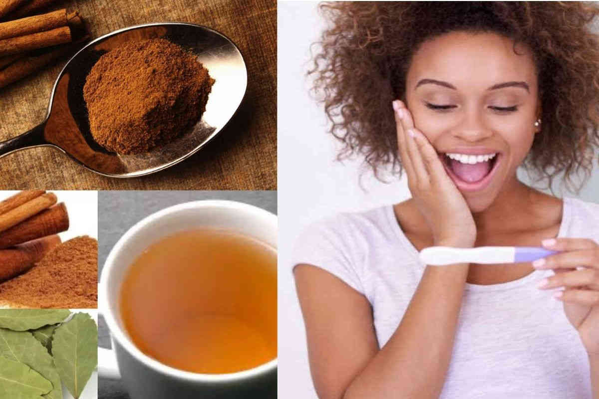 Voici la célèbre recette du thé aux feuilles de laurier et cannelle pour tomber rapidement enceinte