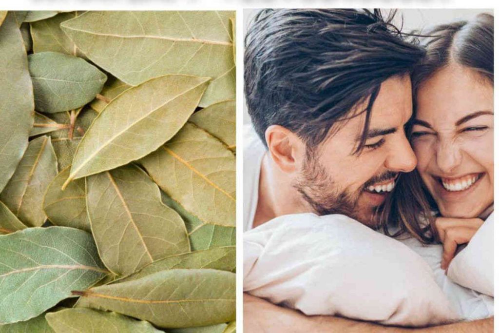 5 recettes avec les feuilles de laurier pour attirer l&rsquo;amour et l&rsquo;harmonie dans son couple