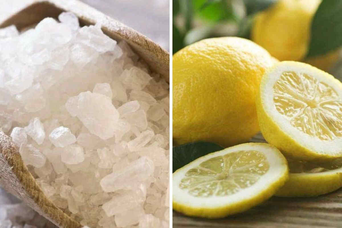Bain de purification avec le citron et le sel pour nettoyer votre aura de l&rsquo;énergie négative