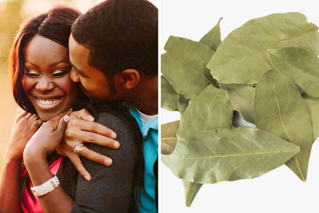 Rituel d&rsquo;amour avec les feuilles de laurier pour attirer les hommes et trouver son âme-sœur