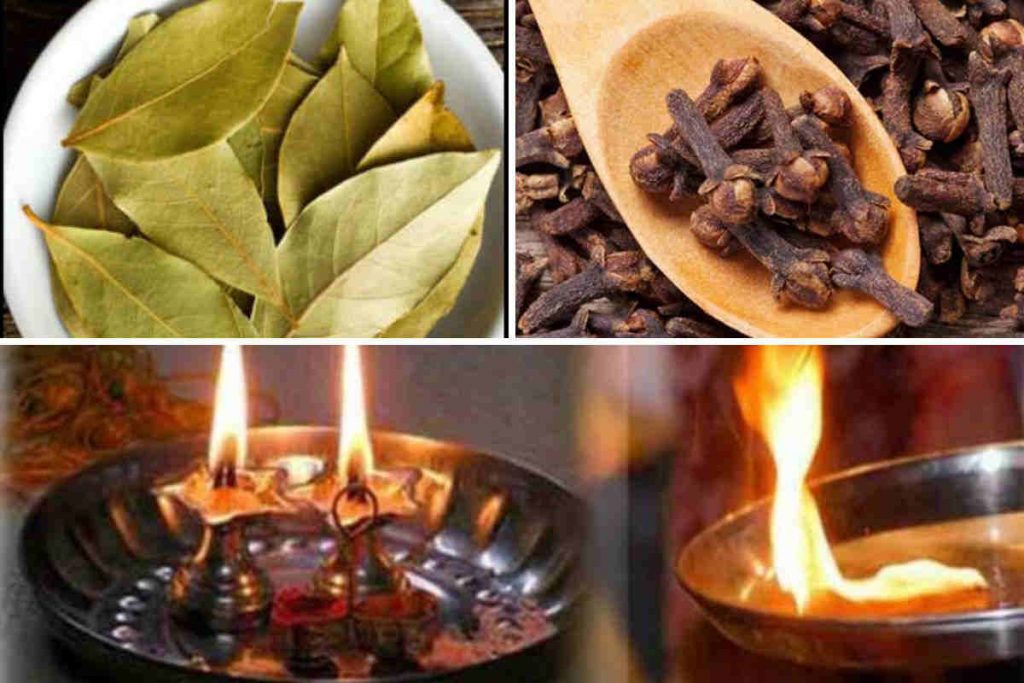 Brûlez les clous de girofle et les feuilles de laurier dans votre maison et remerciez-moi par la suite