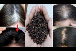 Recette au clou de girofle pour noircir les cheveux blancs naturellement