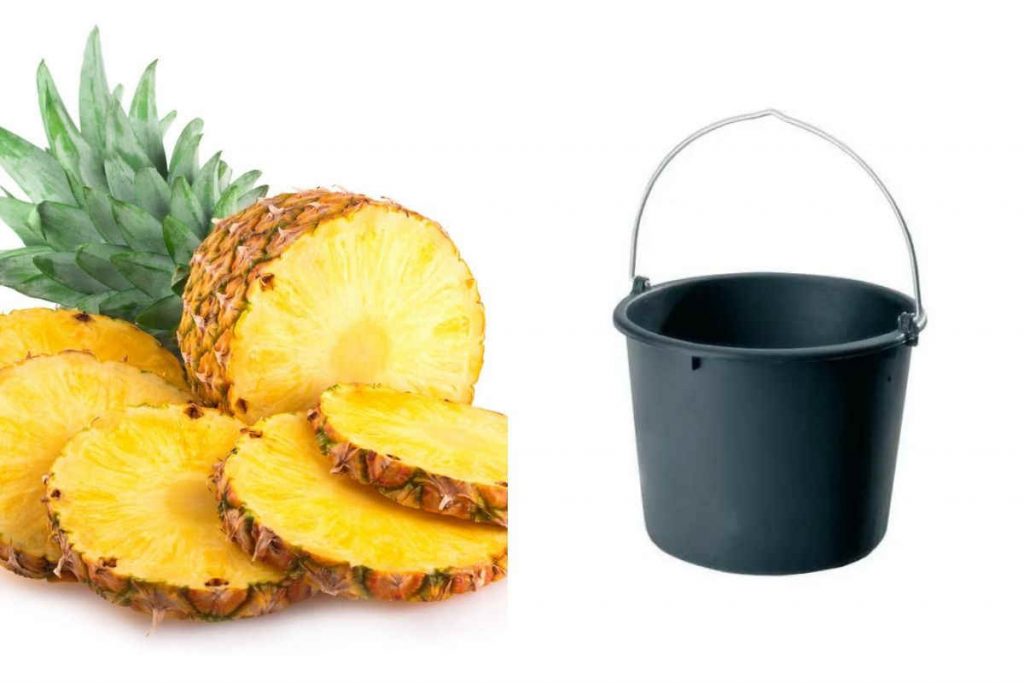 Voici comment préparer un bain de chance intense pour attirer l&rsquo;argent dans sa vie