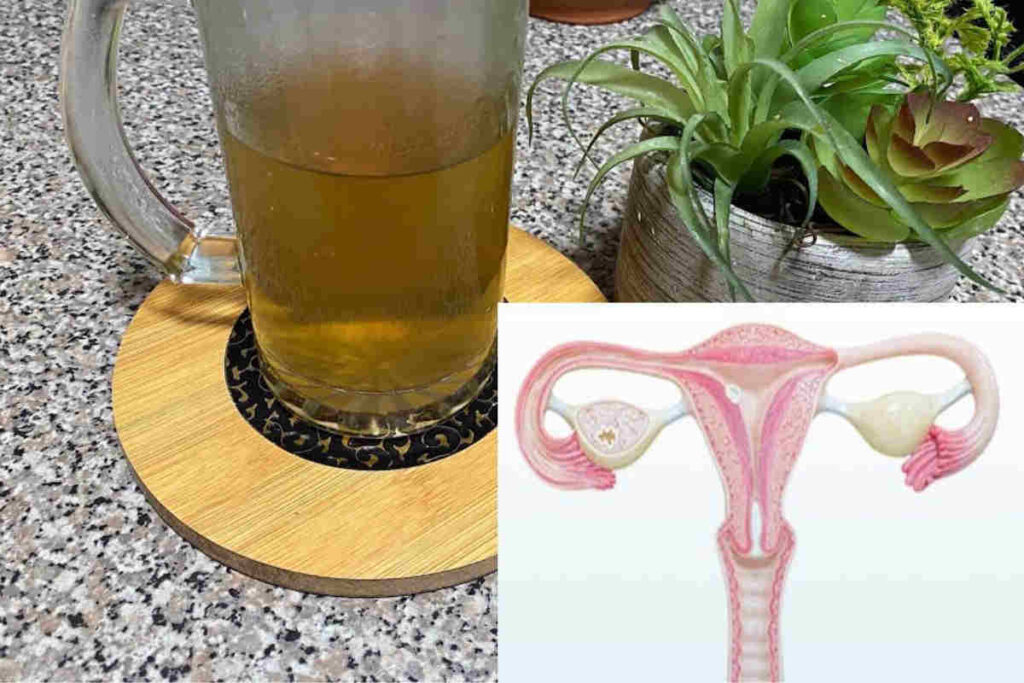 4 recettes africaines pour nettoyer son utérus et tomber enceinte