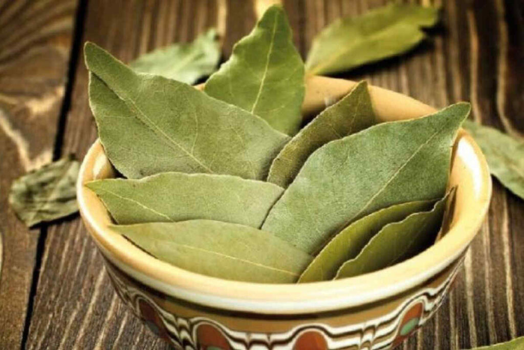 10 astuces de nos grands-mère avec les feuilles de laurier qui ont gardé leur efficacité