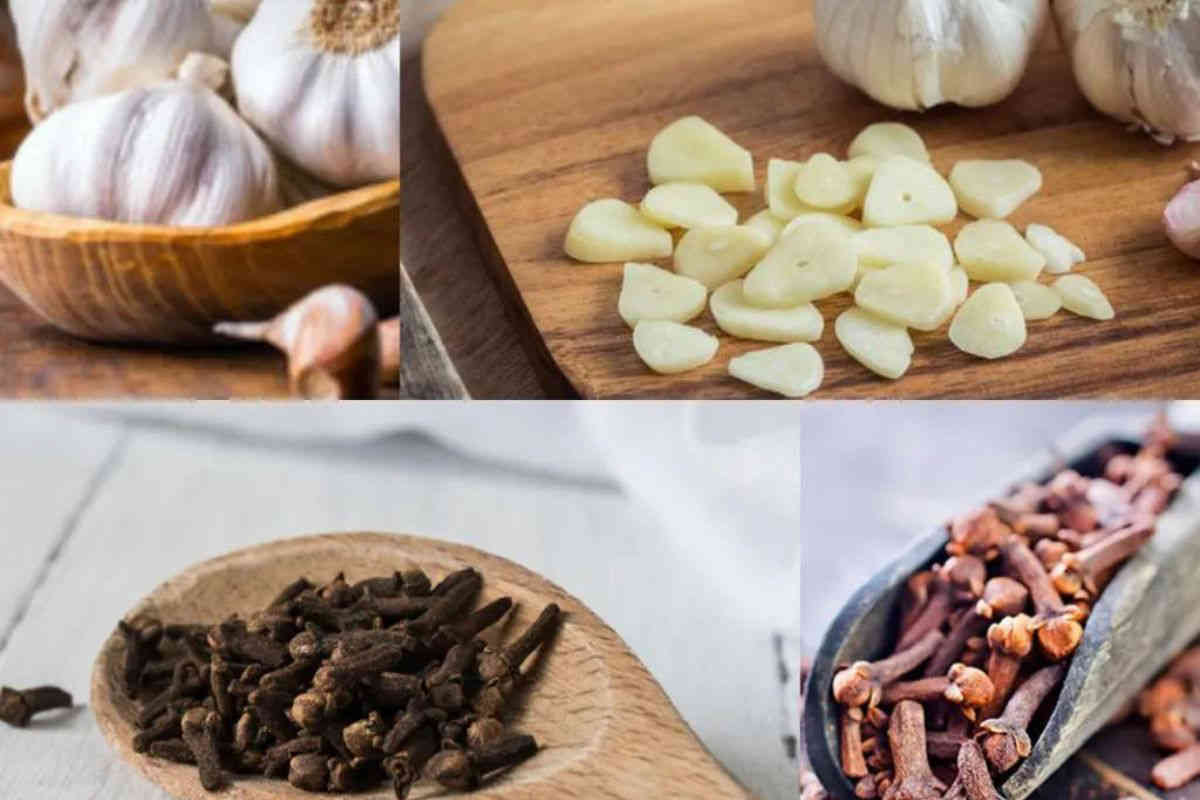 8 bienfaits du clou de girofle et ail, un puissant mélange de la nature
