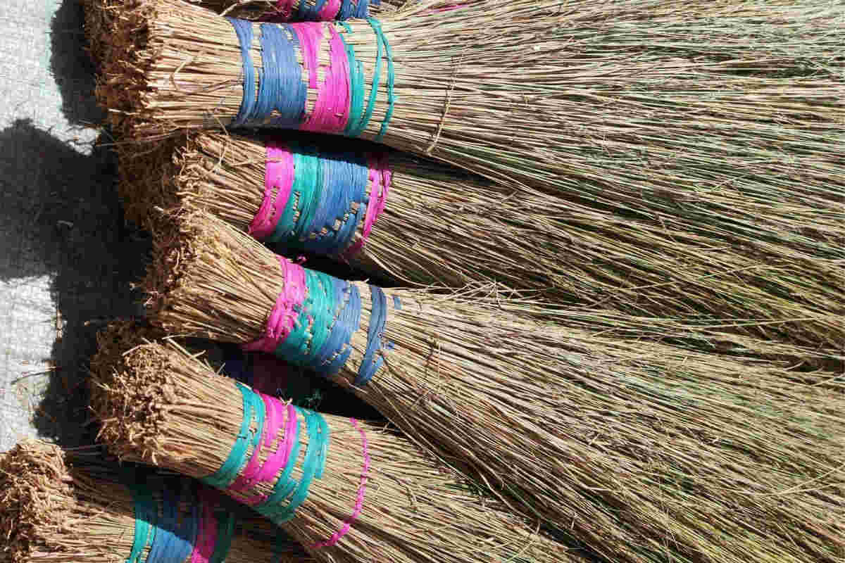 Rituel de purification et de déblocage rapide avec le balai africain