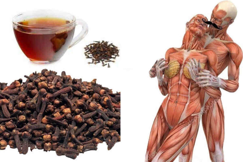 5 recettes avec le clou de girofle pour faire l&rsquo;amour et durer plus longtemps au lit