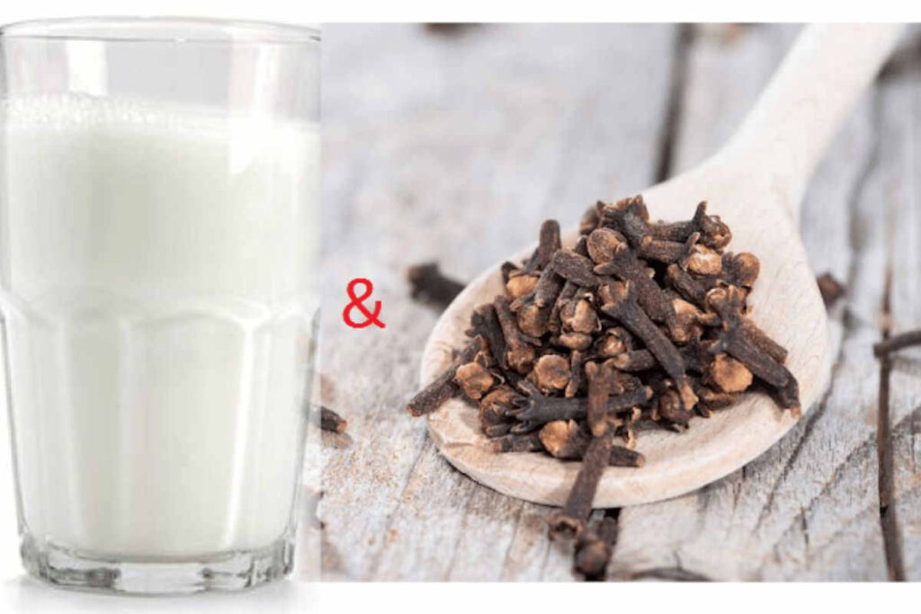 32 bienfaits du clou de girofle et lait pour la santé