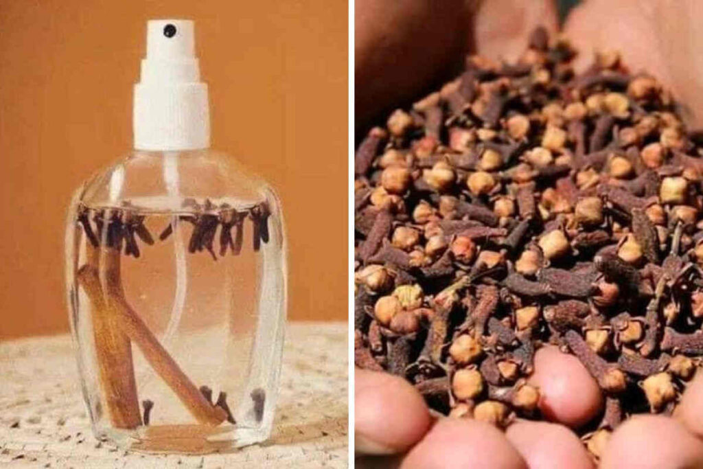 Voici un excellent rituel de protection de la maison avec le clou de girofle et la cannelle