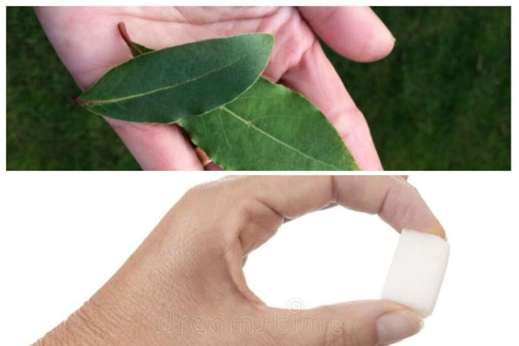 Rituel puissant pour obtenir tout ce que vous demandez avec une feuille de laurier et un morceau de sucre