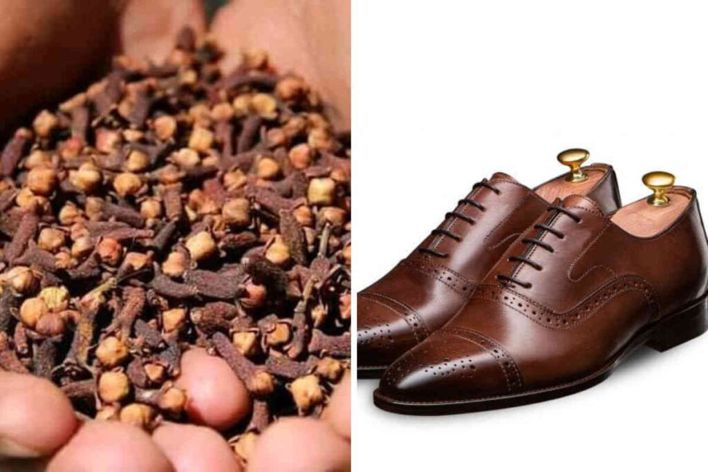 Voici pourquoi vous devriez mettre des clous de girofle à l’intérieur d’une chaussure