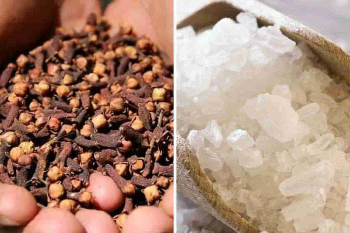 Tu ne peux pas croire que le clou de girofle et sel peut changer le cours de votre vie