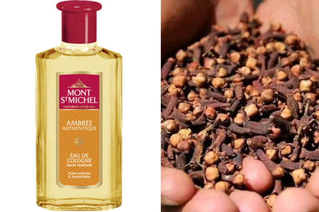 5 utilisations du clou de girofle dans le parfum pour attirer la chance, l&rsquo;amour et l&rsquo;argent