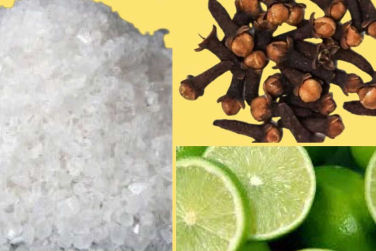 Bain de clou de girofle pour la protection et contre les mauvaises pensées et la jalousie de notre entourage