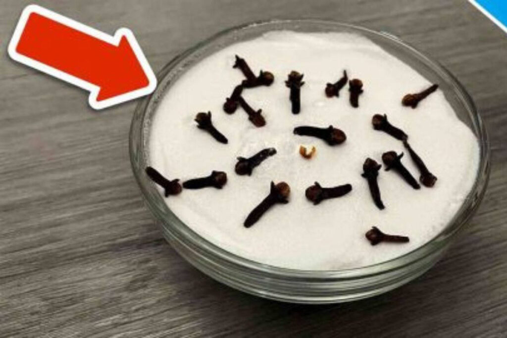 Découvrez  les incroyables pouvoirs des clous de girofle et bicarbonate de soude mélangés ensemble