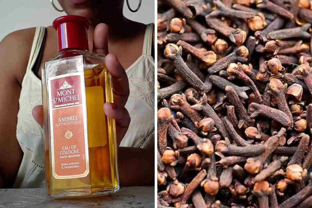 Voici comment utiliser le Parfum Saint Michel et  Clou de Girofle pour attirer l&rsquo;argent