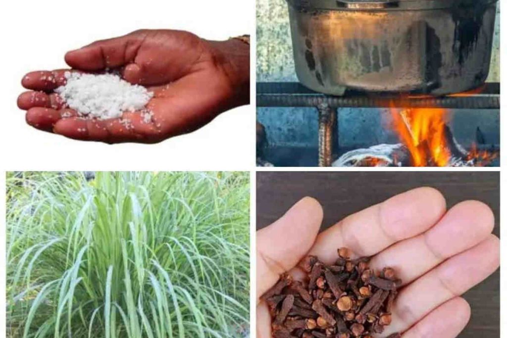 Voici un puissant bain de purification spirituel, pour faire briller son étoile et être aimé partout