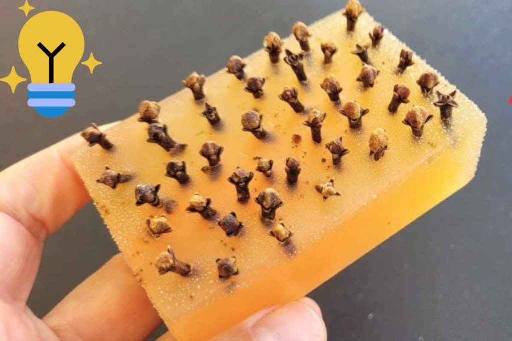 Voici une ancienne astuce de grand-mère : le Clou de girofle dans le savon